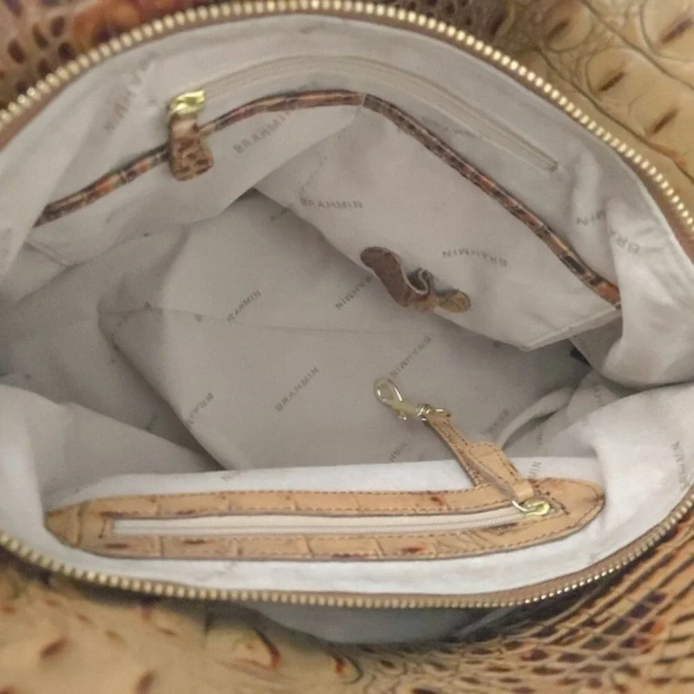 Brahmin dark brown